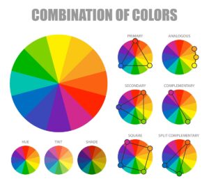 Ruota dei colori: cos’è, come funziona e come usarla negli abbinamenti