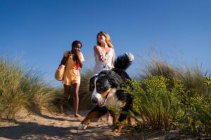 viaggi pet friendly 2
