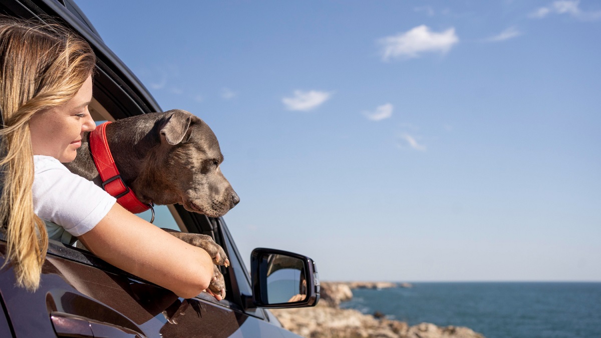viaggi pet friendly